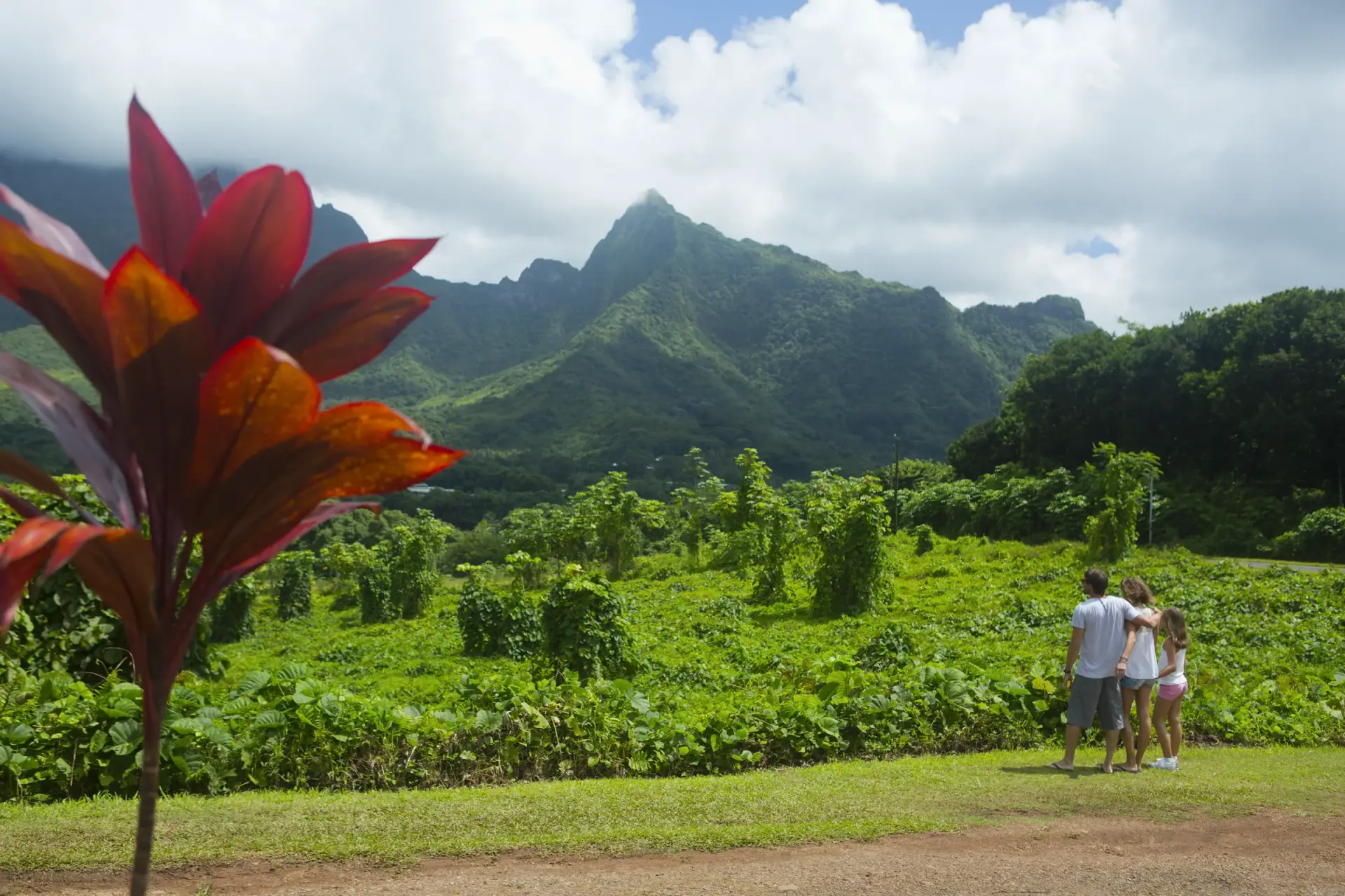 Vue sur le mont Temehani à Raiatea