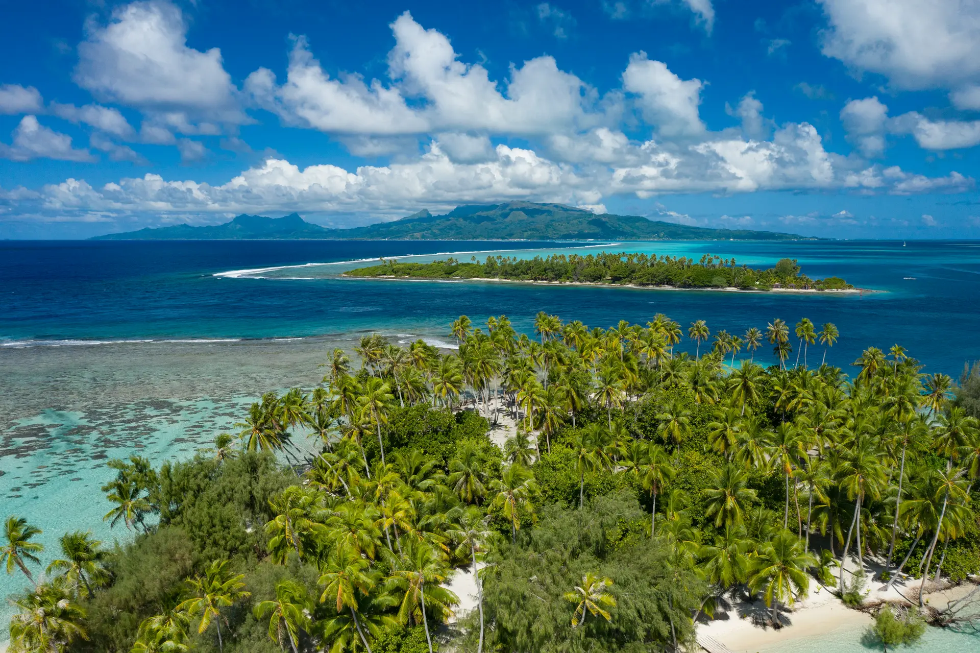 Plage et cocotiers aux Îles Sous-le-Vent