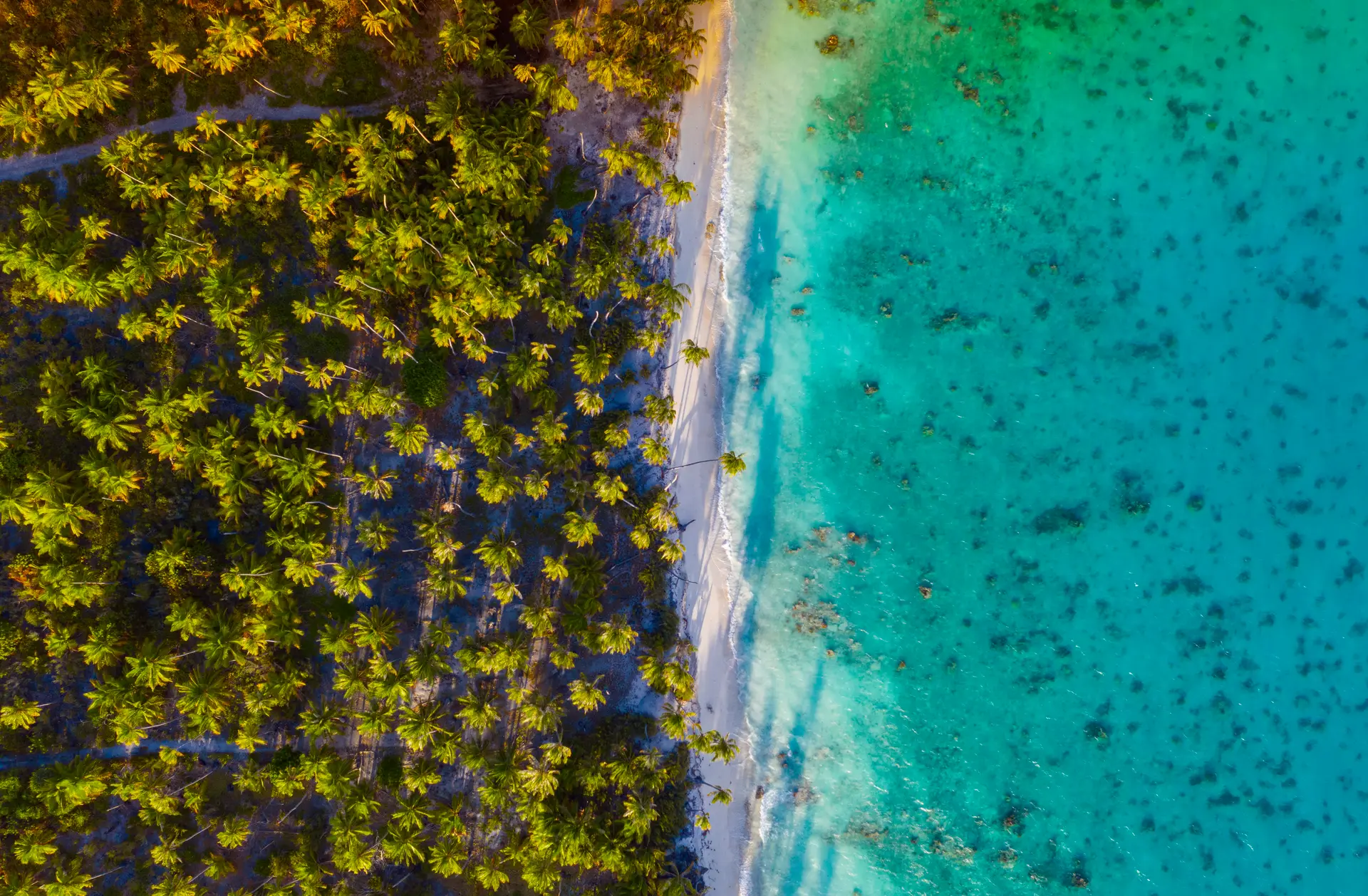 Passes et hoas à Fakarava