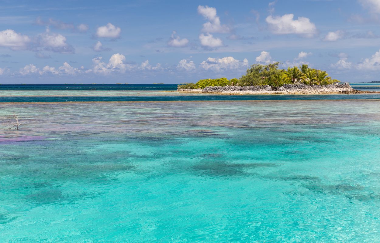 Illustration du guide Perles de Tahiti
