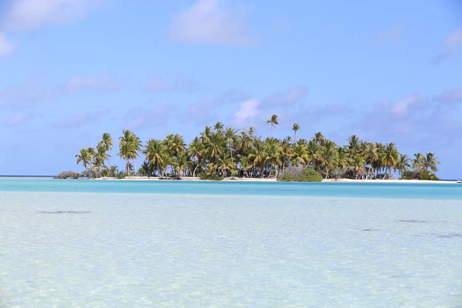 Motu de sable et cocotiers