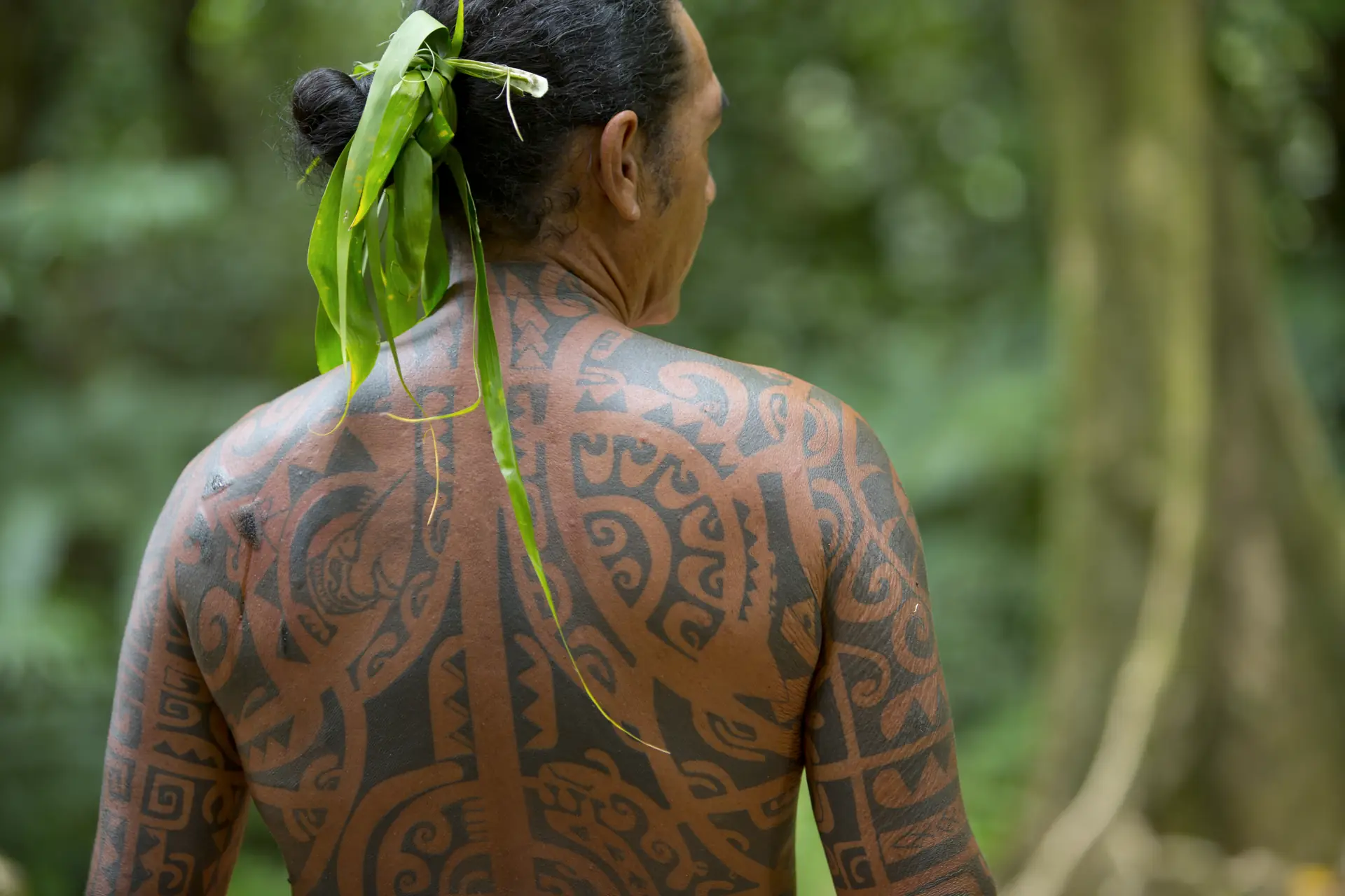 Motifs de tatouage traditionnel polynésien