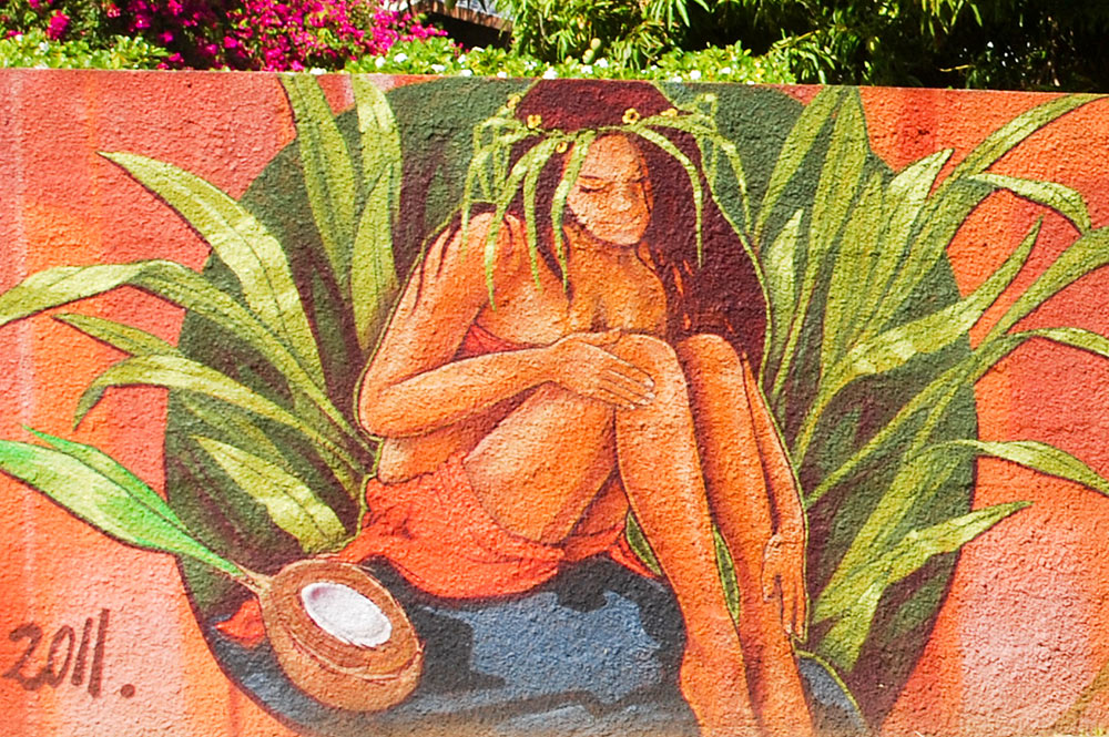 Illustration du guide Le Heiva i Tahiti